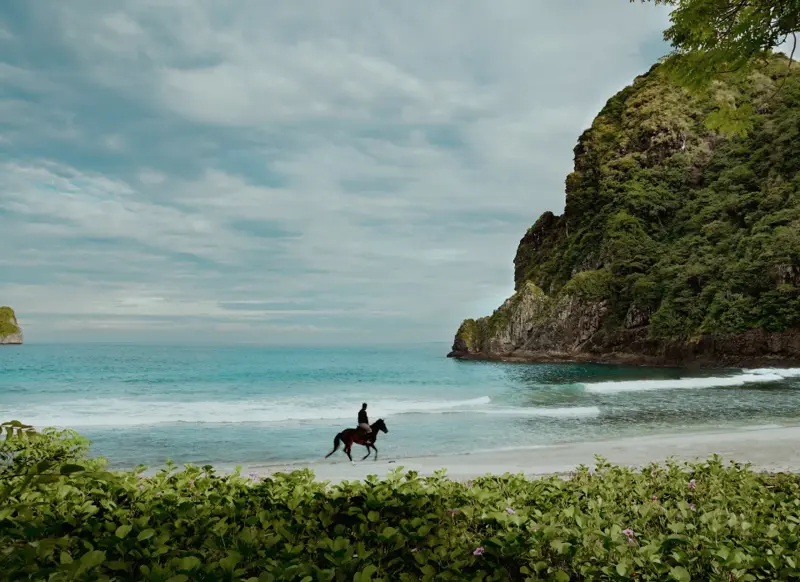 Stunning Luxury Beachfront Eco Resort — photo 11 of 11